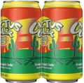 Cactus Cooler six-pack angle view