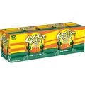 Cactus Cooler carton side view